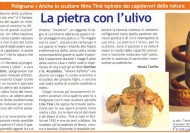 Articolo informatore 2005
